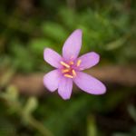 F51A0015.JPG