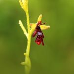 IMG_513111.JPG