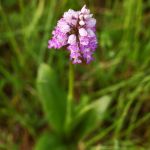IMG_9733.JPG