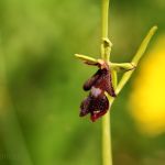 IMG_541011.JPG