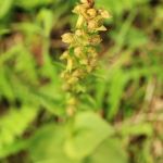 IMG_507311.JPG