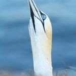 IMG_2618.JPG