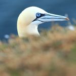 IMG_2727.JPG