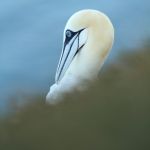 IMG_3037.JPG