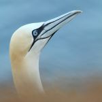 IMG_2783.JPG