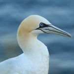IMG_2571.JPG