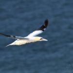 IMG_8331.JPG