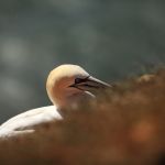 IMG_6966.JPG