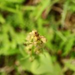 IMG_507011.JPG