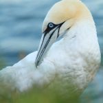 IMG_2462.JPG