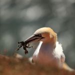 IMG_6964.JPG